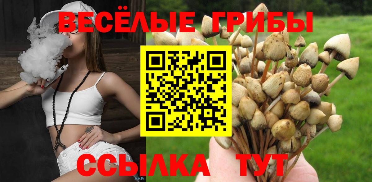 Якутск  Галлюциногенные грибы Cubensis  Вход с VPN 